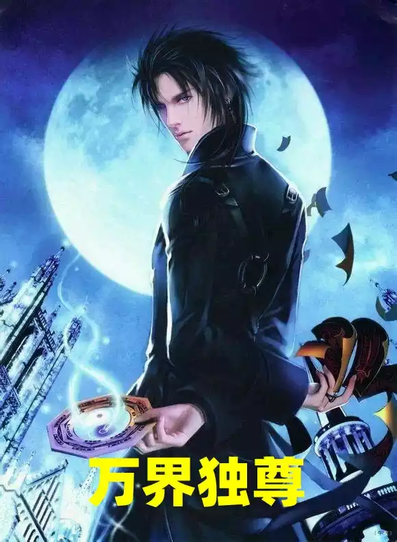 万界独尊小说