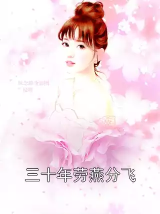 三十年劳燕分飞小说