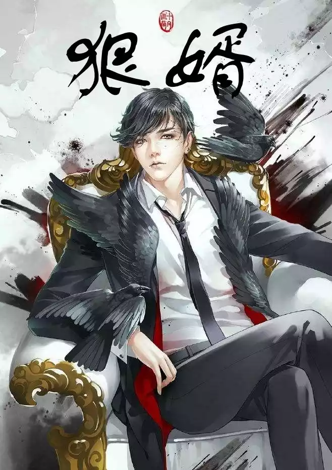 狠婿小说