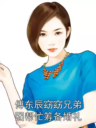 傅东辰窈窈兄弟团帮忙筹备婚礼小说