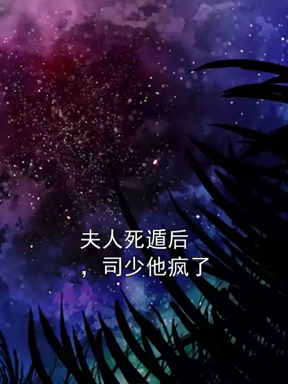夫人死遁后，司少他疯了小说