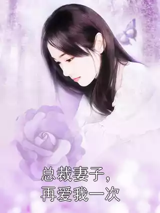 总裁妻子，再爱我一次小说