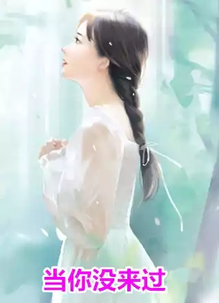 当你没来过小说
