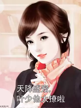 天降盛宠,叶少他太撩啦小说