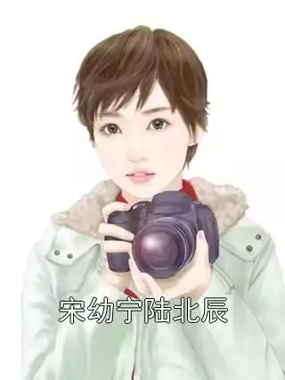 宋幼宁陆北辰小说