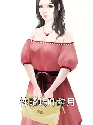 林昭屿叶辞月