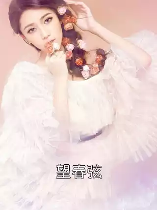望春弦小说
