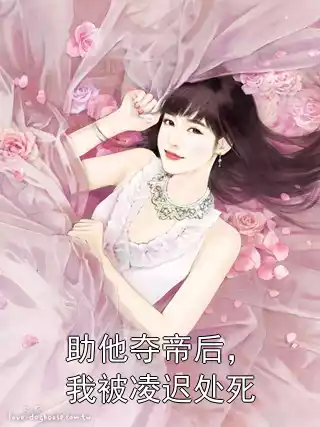 助他夺帝后，我被凌迟处死小说