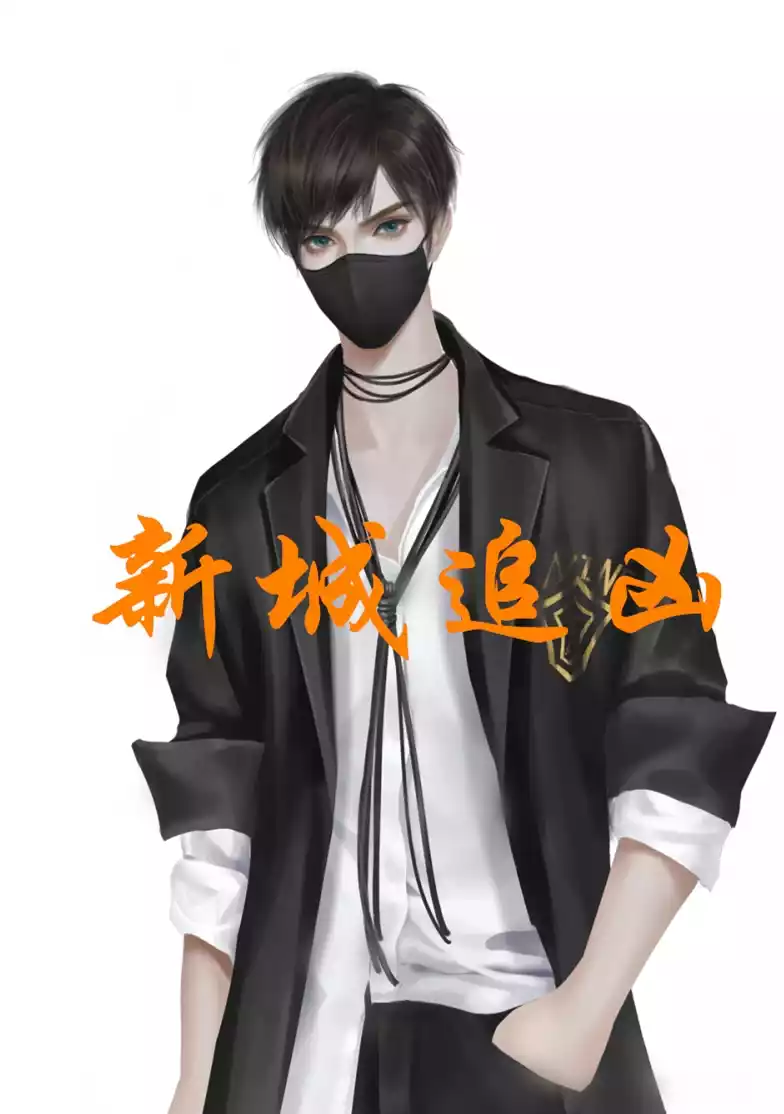 新城追凶小说