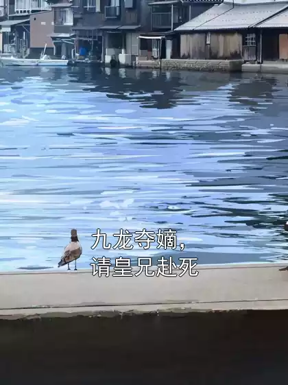 九龙夺嫡，请皇兄赴死小说