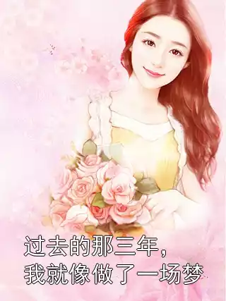 过去的那三年，我就像做了一场梦小说