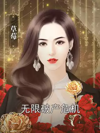 无限破产危机小说