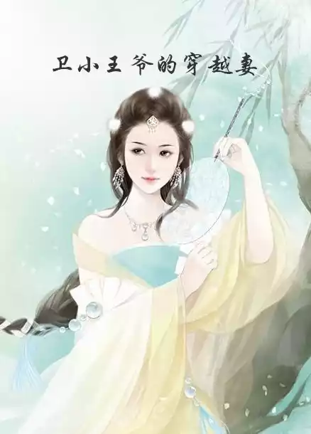 小王爷的穿越妻