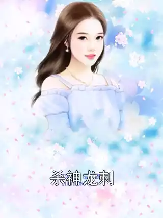 杀神龙刺小说