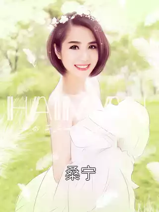 桑宁小说