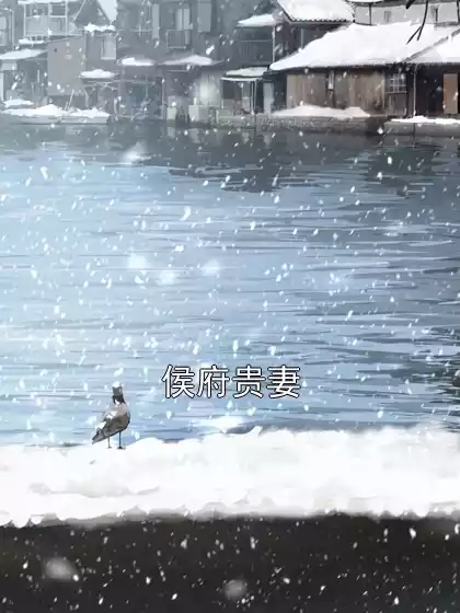 侯府贵妻小说