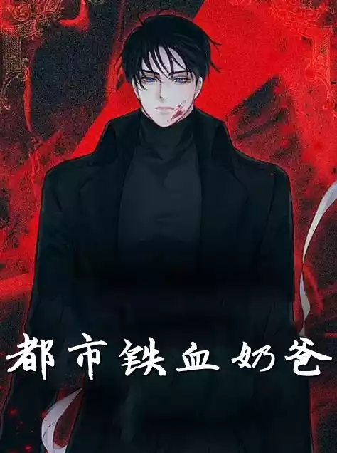 都市铁血奶爸小说