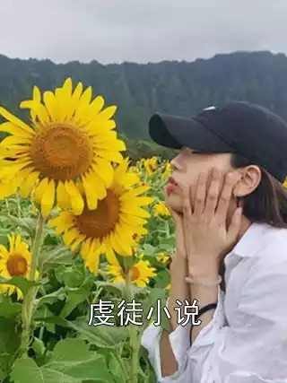 虔徒小说小说