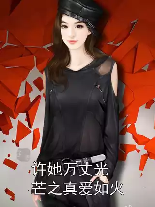 许她万丈光芒之真爱如火小说