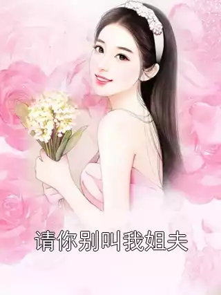 请你别叫我姐夫小说