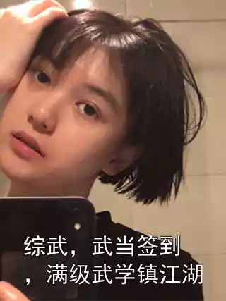 综武，武当签到，满级武学镇江湖