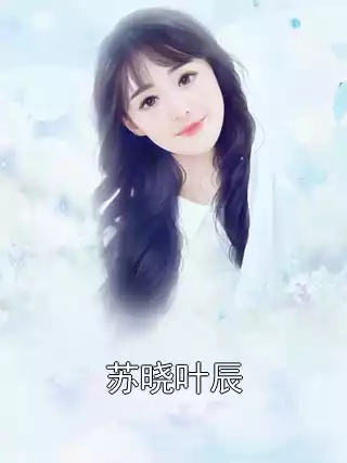 苏晓叶辰小说