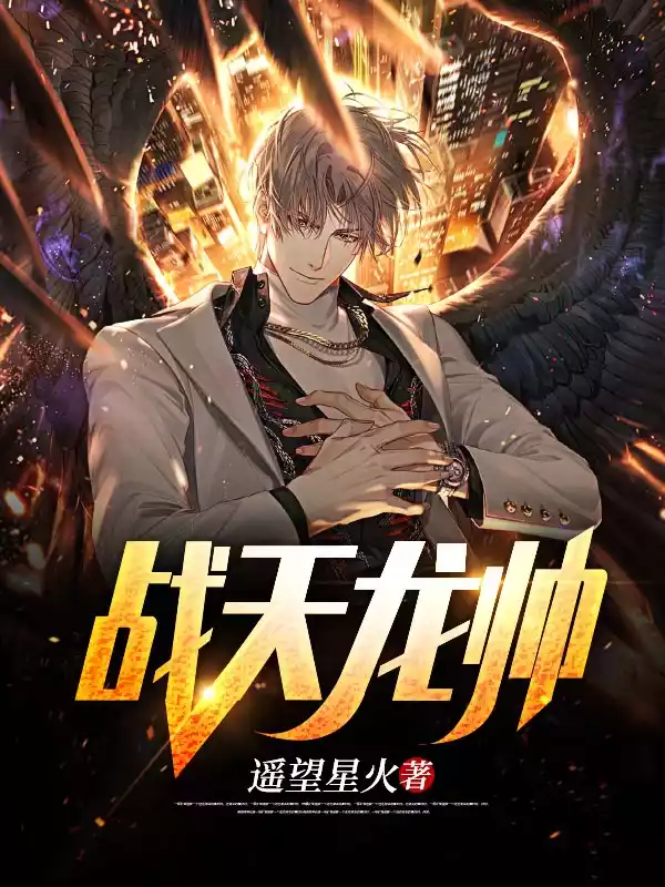 战天龙帅小说