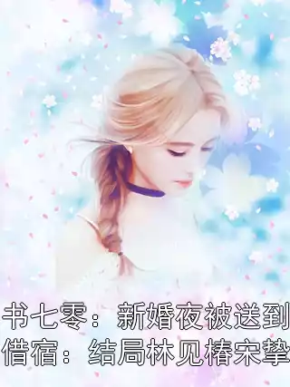 穿书七零：新婚夜被送到隔壁借宿：结局林见椿宋挚安