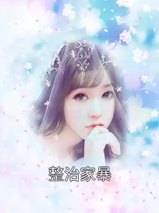 整治家暴小说