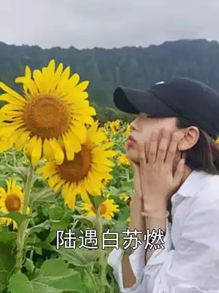 陆遇白苏燃小说