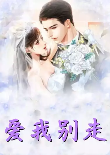 爱我别走