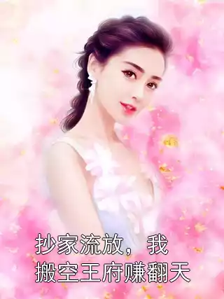 抄家流放，我搬空王府赚翻天小说