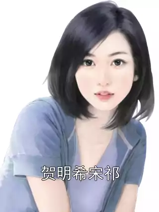 贺明希宋祁小说