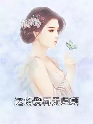 这场爱再无归期小说