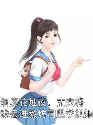 洞房花烛夜，丈夫将我丢进教坊司里学规矩小说