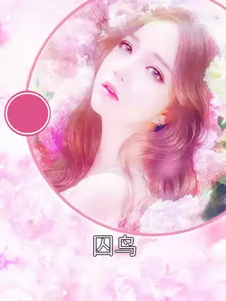 囚鸟小说