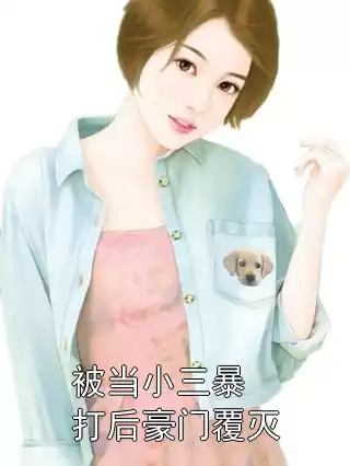 被当小三暴打后豪门覆灭