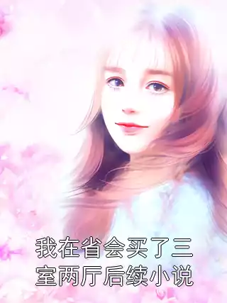 我在省会买了三室两厅后续小说小说