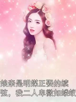 娘亲是明媒正娶的续弦，我二人卑微如蝼蚁小说
