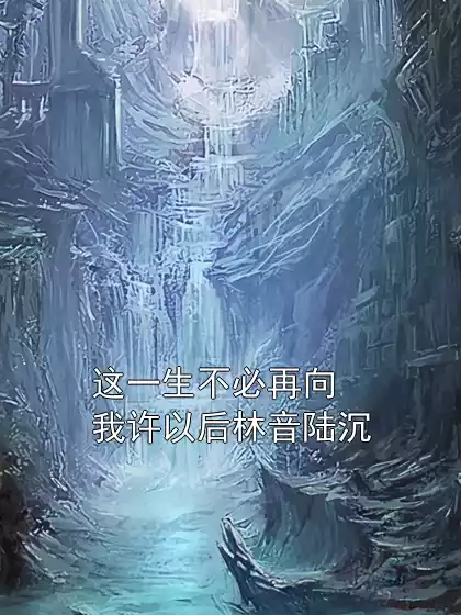 这一生不必再向我许以后林音陆沉
