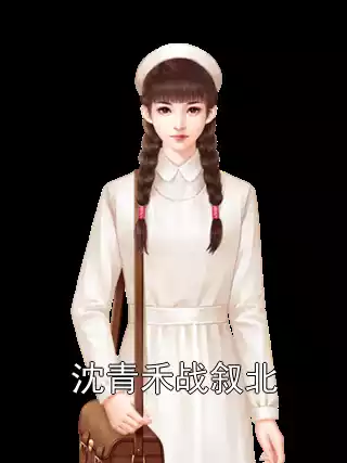 沈青禾战叙北小说
