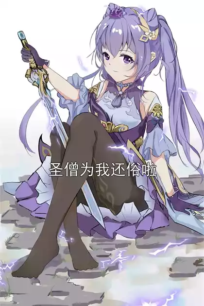 圣僧为我还俗啦小说