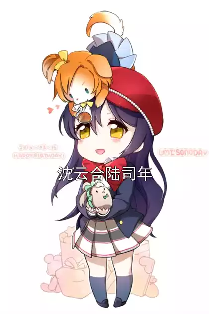 沈云合陆司年小说
