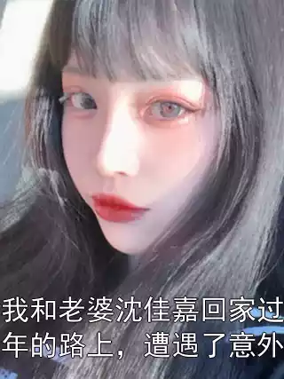 我和老婆沈佳嘉回家过年的路上，遭遇了意外小说