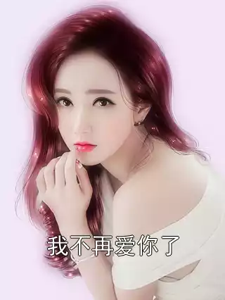 我不再爱你了小说