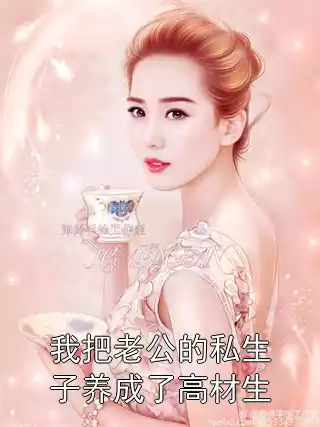 我把老公的私生子养成了高材生小说