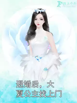 退婚后，大夏公主找上门小说