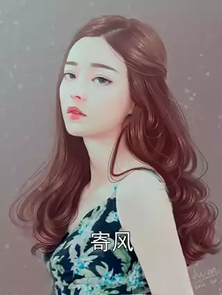 寄风小说