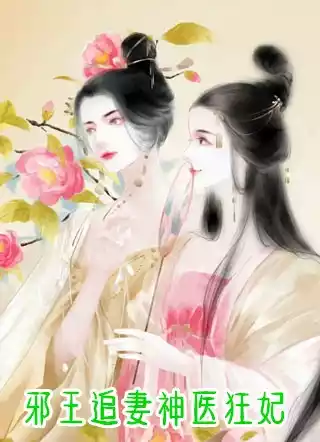 邪王追妻神医狂妃小说