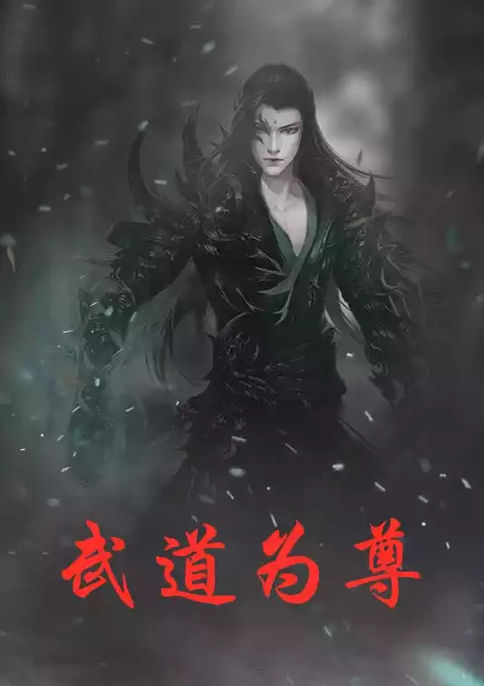 武道为尊小说